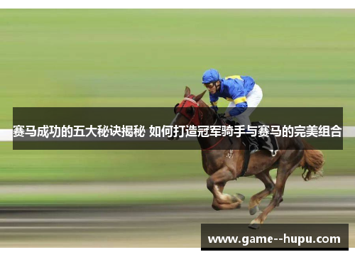 赛马成功的五大秘诀揭秘 如何打造冠军骑手与赛马的完美组合 赛马成功的五大秘诀揭秘 如何打造冠军骑手与赛马的完美组合