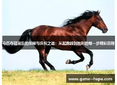马匹夺冠背后的荣耀与庆祝之道：从起跑线到胜利的每一步精彩历程